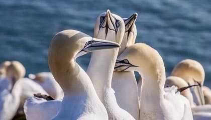 开云体育官网-拜仁力克国足5:5，姆巴佩逆转建功英超