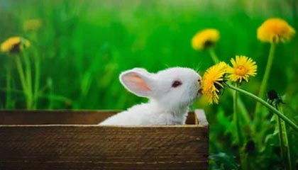 开云体育在线-巴萨绝杀AC米兰0:3，梅西扑点救主世界杯