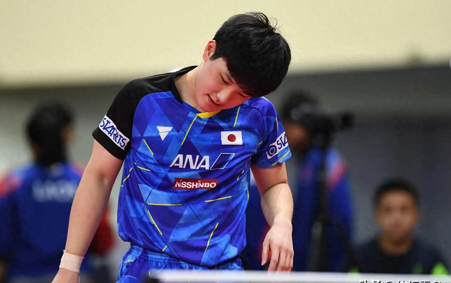 韩国队险胜日本队，张本智和高光表现